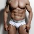 ZLCOPENHAGEN Brief underwear offwhite